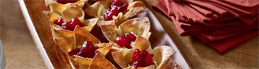 Cranberry Brie Appetizer Bites with Ocean Spray