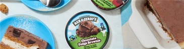 Chocolate Peanut Butter Ice Cream Slices with Ben & Jerry's