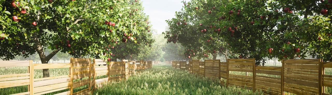 Fall Apple Picking - CTown Supermarkets